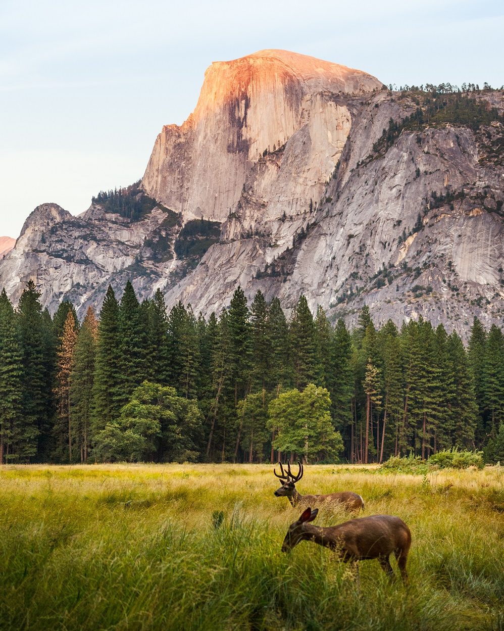 Voyage dans l'ouest américain - Yosemite - showroomprive